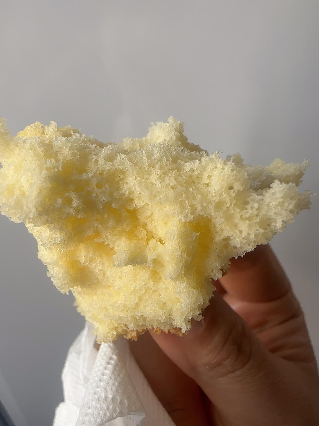 火爆全网的金枕蛋糕