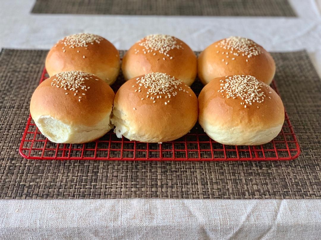 汉堡胚 poolish（波兰种）