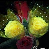 悄然-4
