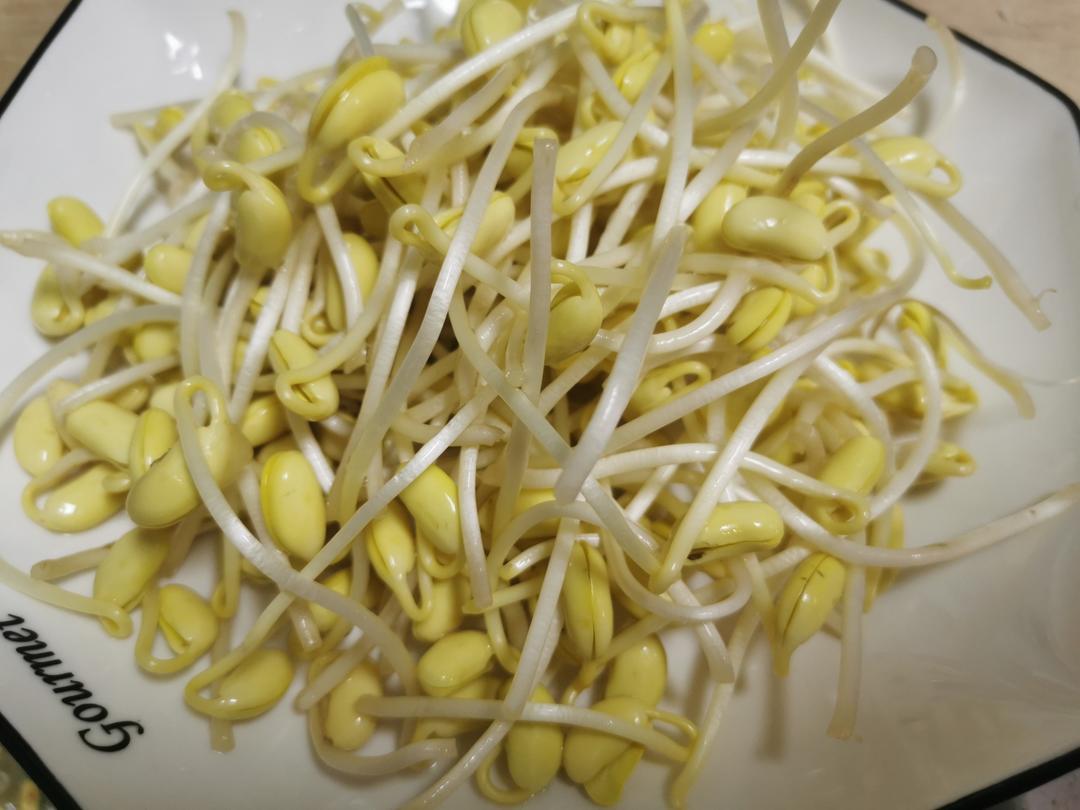 在家发豆芽的做法