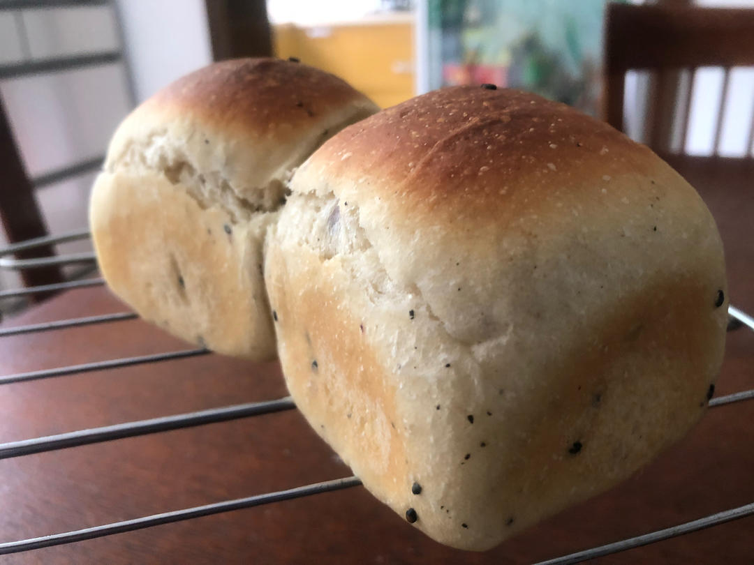 波兰种全麦面包🍞