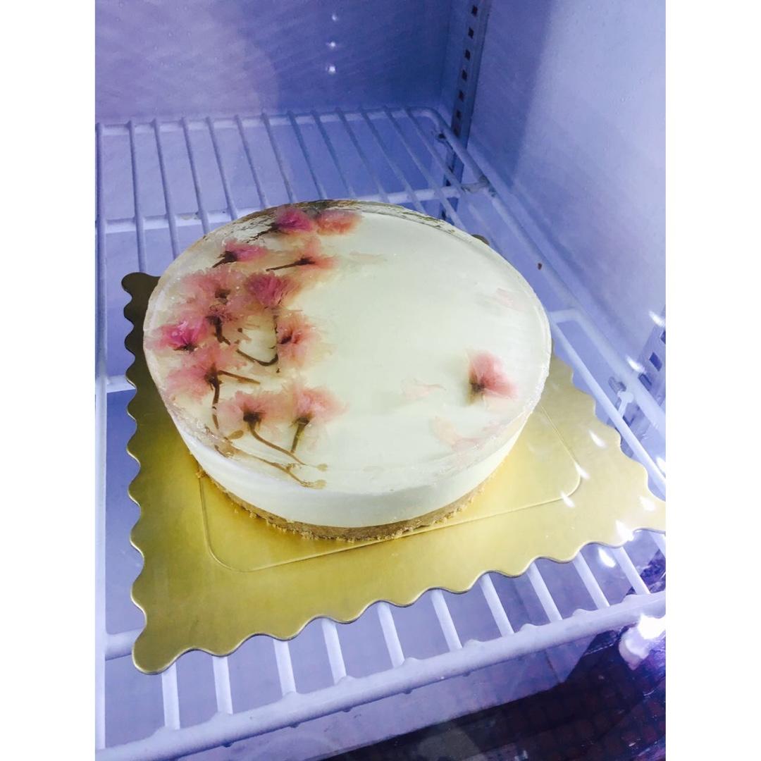 🌸樱花冻芝士蛋糕🌸6寸