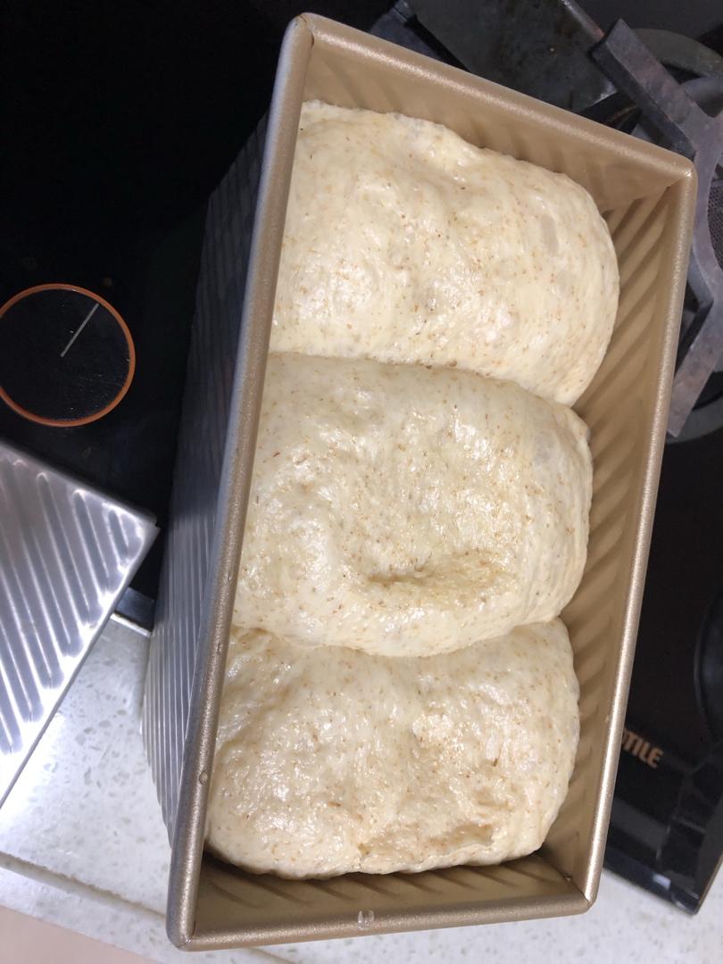夺命软吐司(๑´ڡ`๑)超软拉丝极速方便的一次发酵吐司
