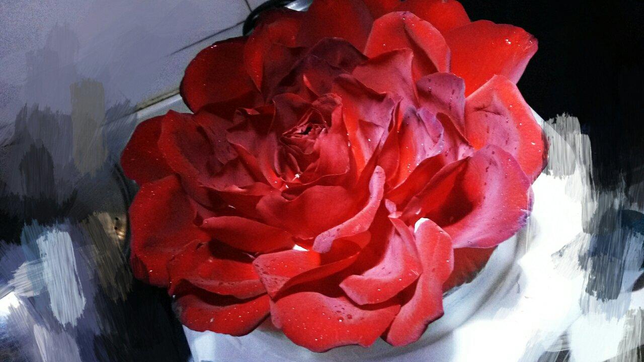 玫瑰花蛋糕的做法