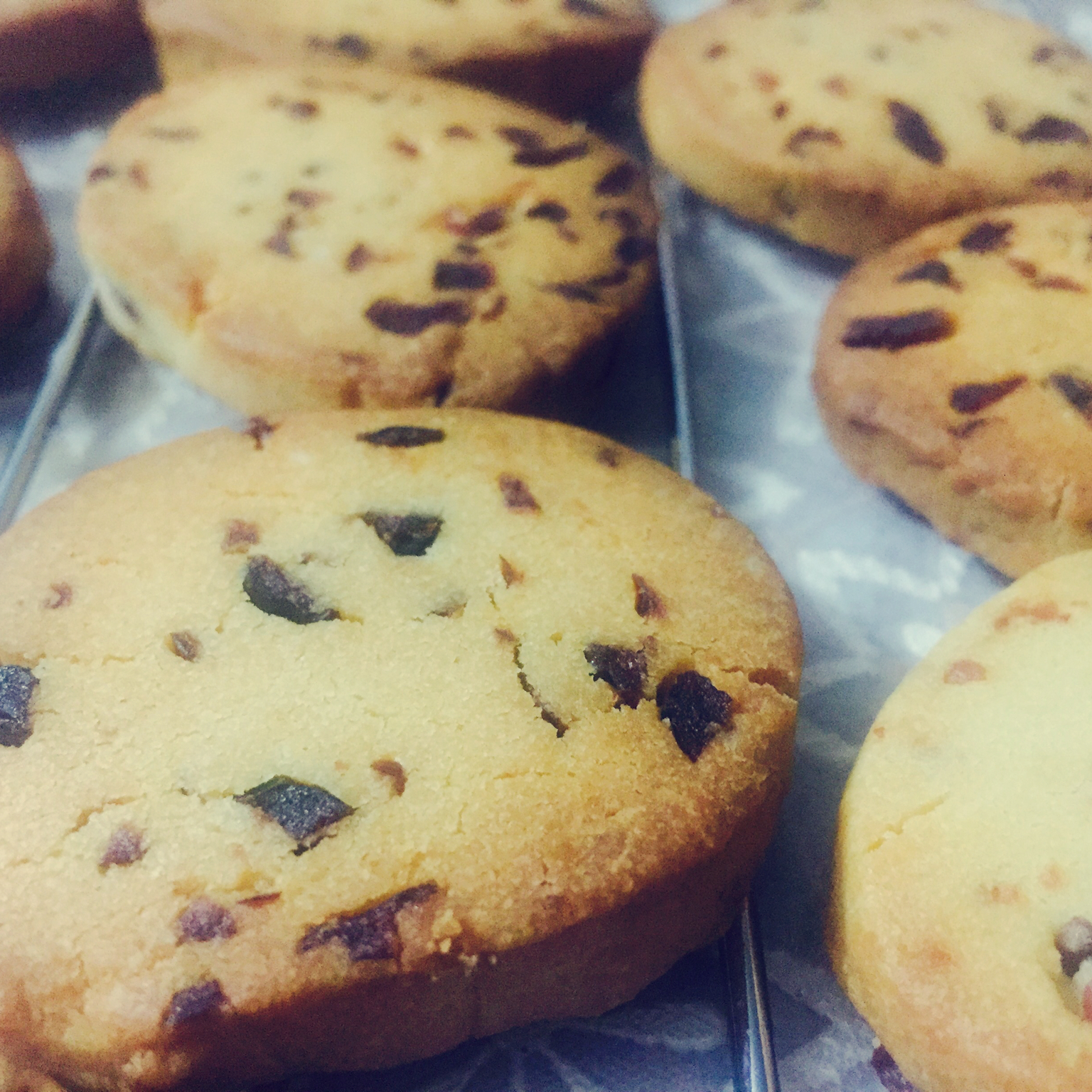 蔓越莓饼干（君之版改良）