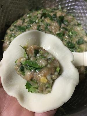 香菜瘦肉饺子的做法 步骤5