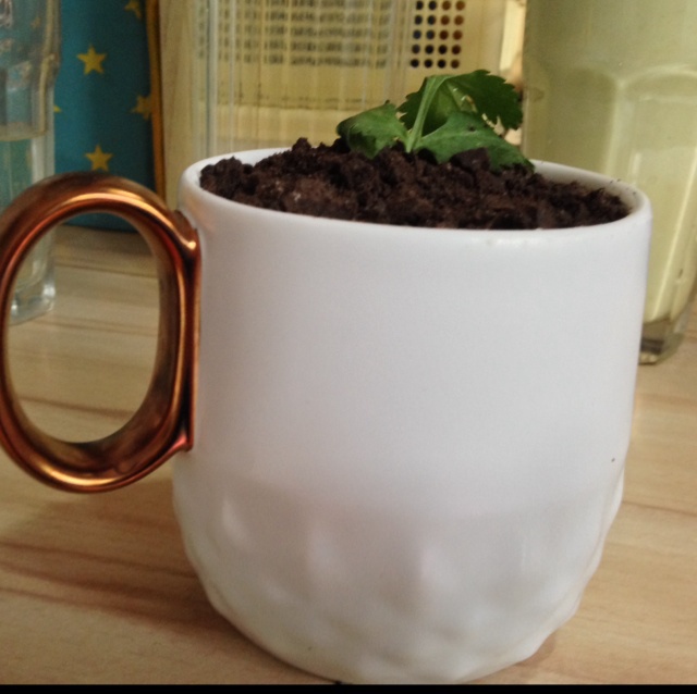 酸奶盆栽/继续延续小清新风/治愈系甜品