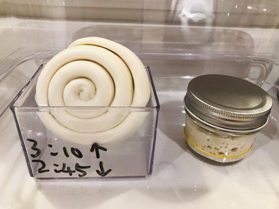 意大利水式酵母（Pasta Madre)