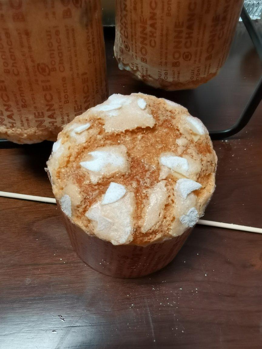 潘娜托尼(天然酵母版) Sourdough Panettone