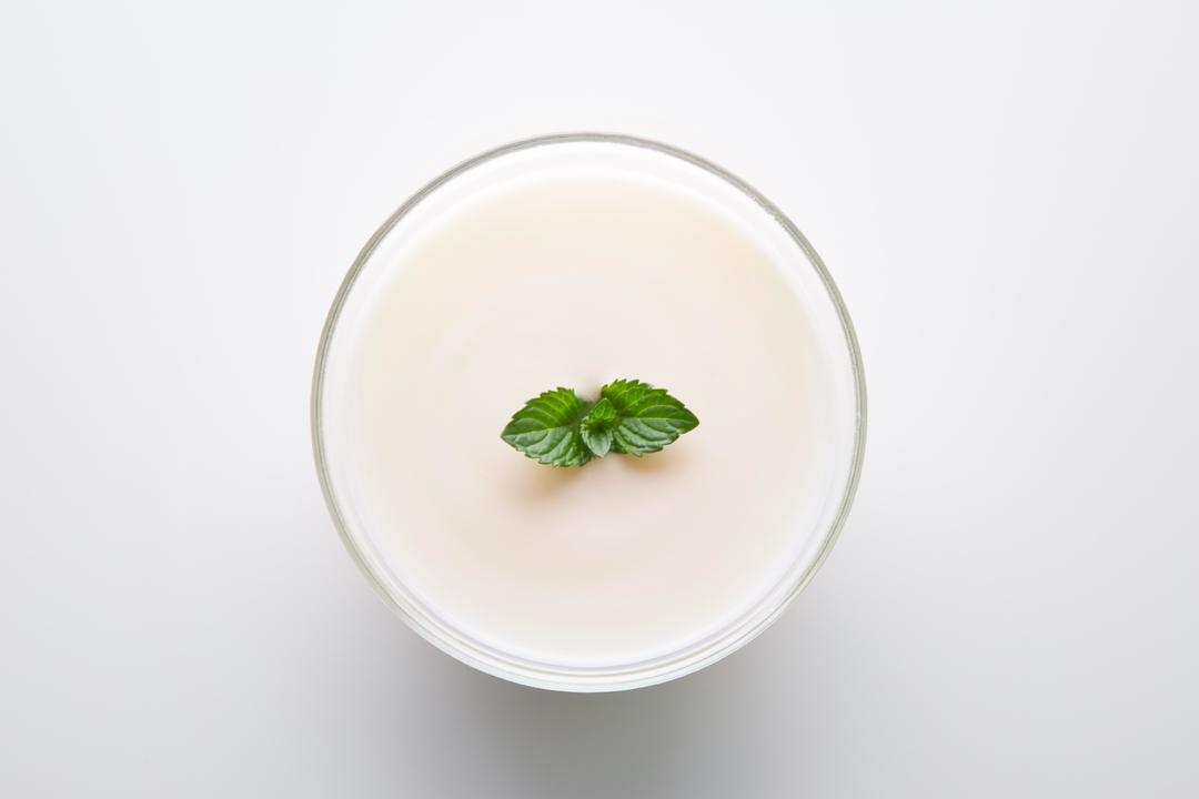 薄荷推荐-酸奶瘦身做法大全的封面