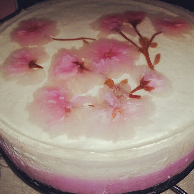 樱花渐变慕斯蛋糕（6寸）