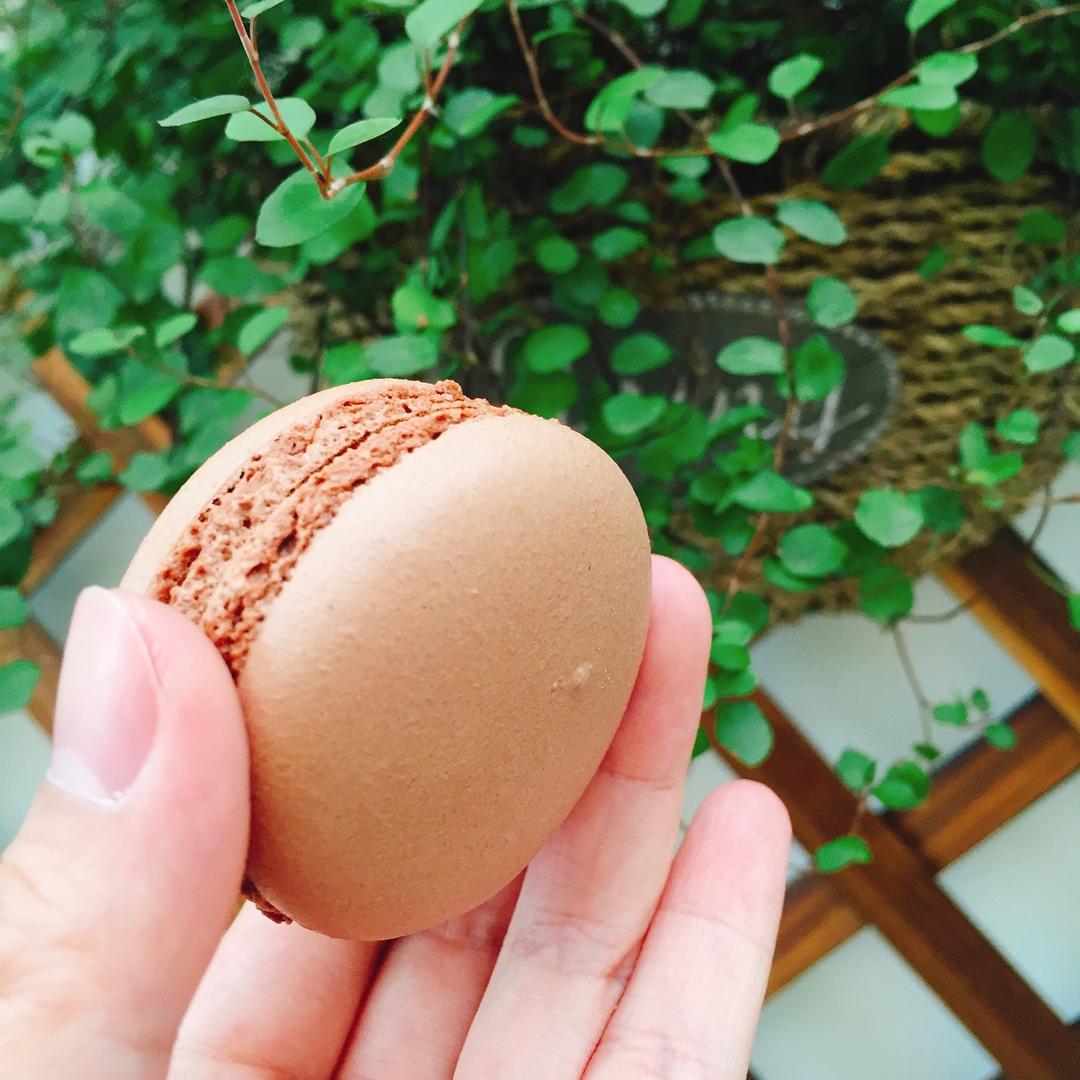 马卡龙（汉堡马配方）