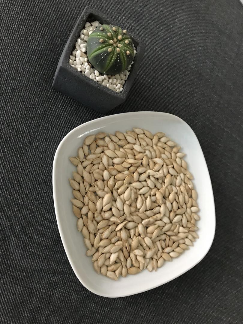 懒人版烤箱南瓜子
