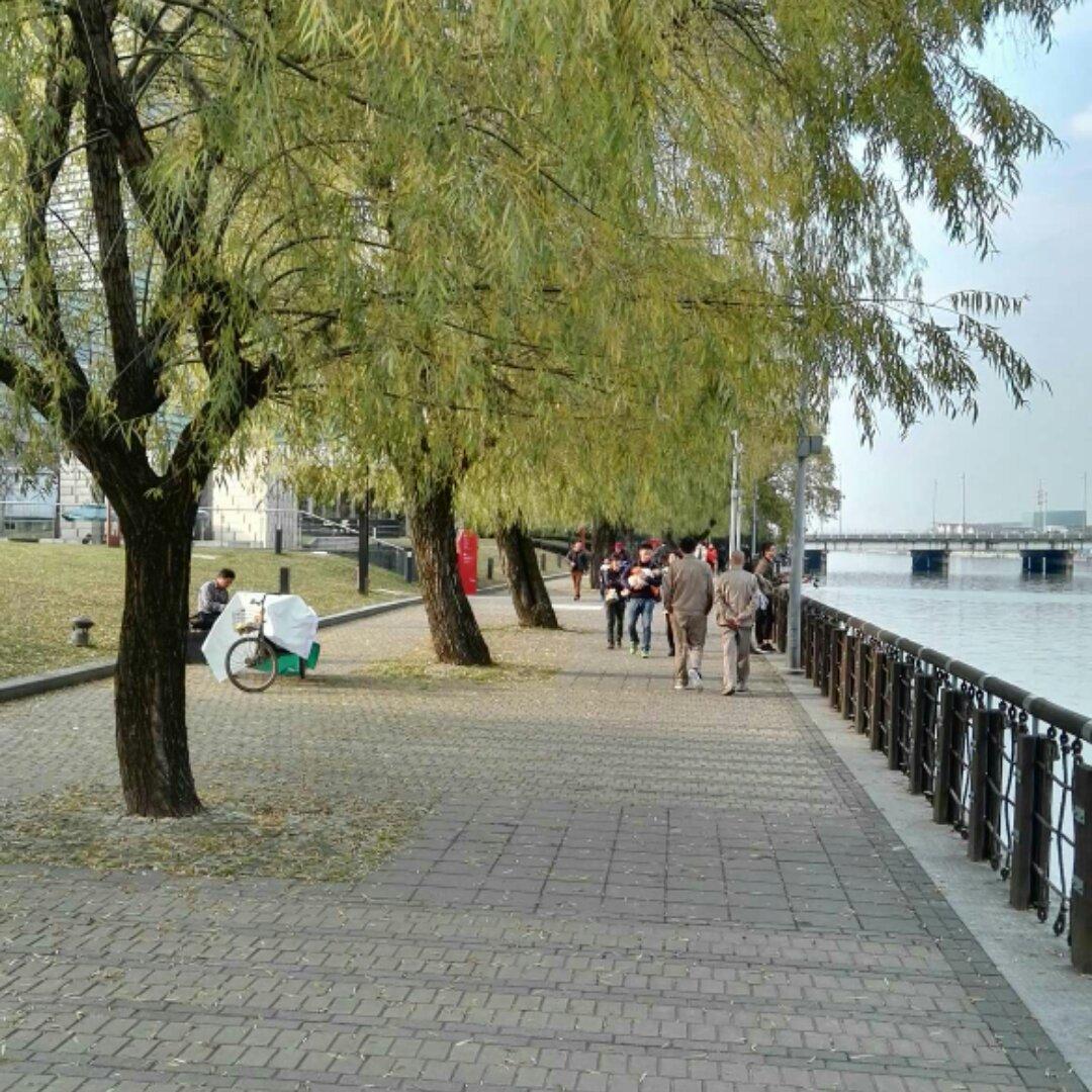 米其林不欢迎我