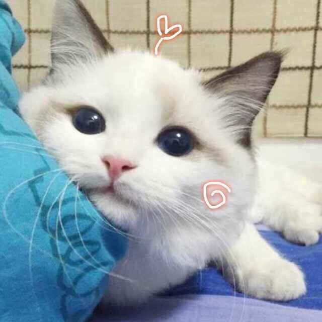 罖亽她