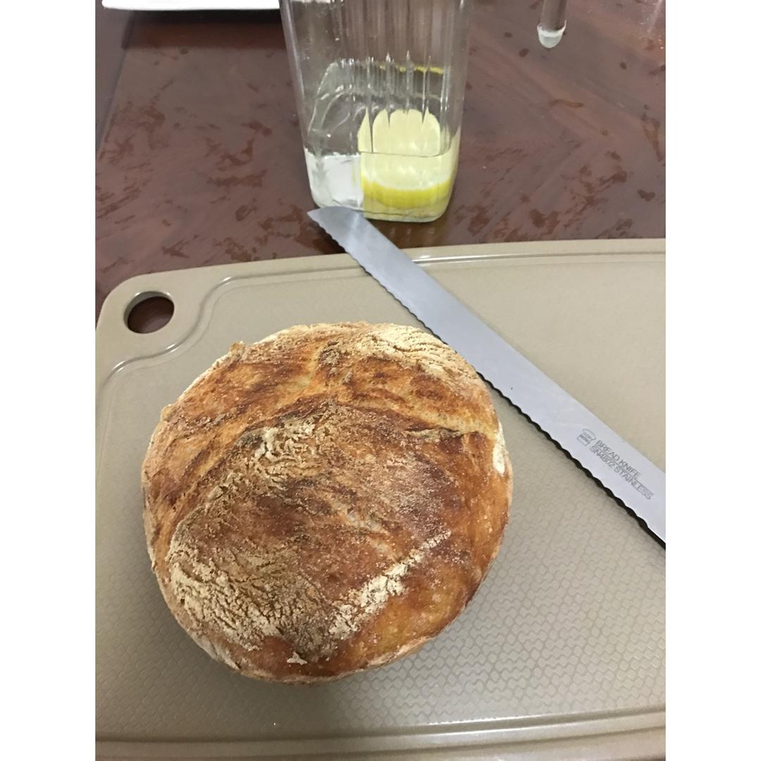 欧包/乡村面包-无油不用揉 No Knead Bread
