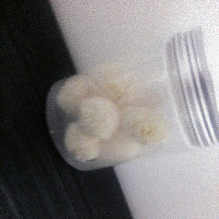 蛋白椰丝球（改良版）