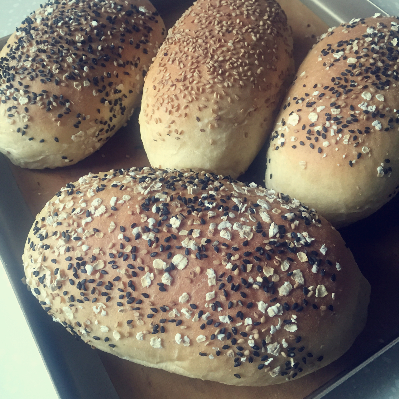 汉堡--全麦营养潜艇堡