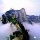 手机用户2973_ydij