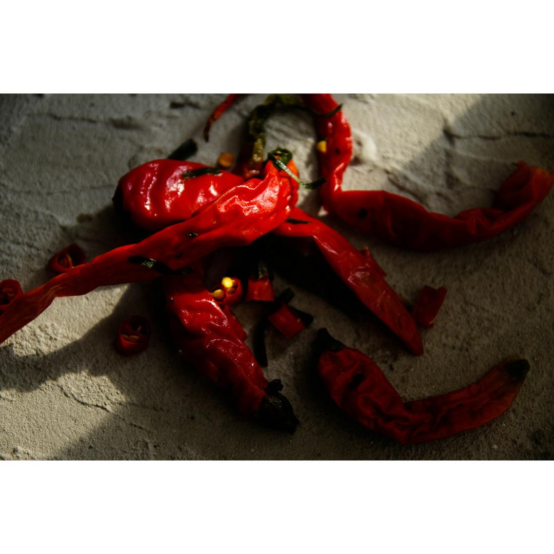 2017 从春约到冬