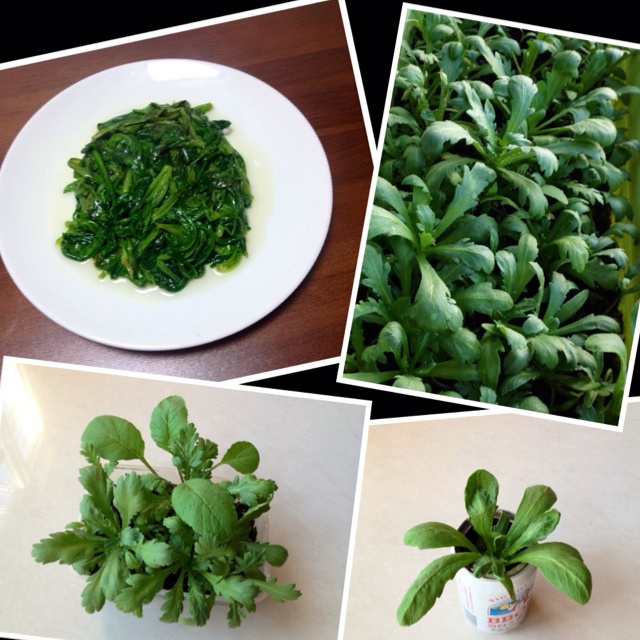 清炒茼蒿