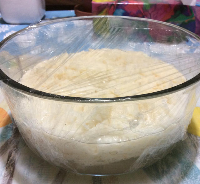 家庭版自制酒酿