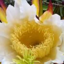 5988_zbg0堆积情感