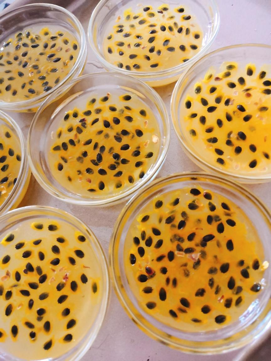 百香果钵仔糕(7个量)