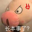 小周正在努力摸索