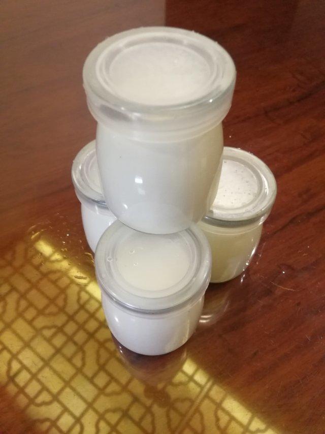 美善品之超简单香草奶冻