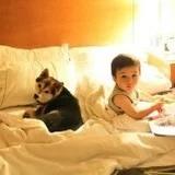 哈哈哈大魔王ZZ