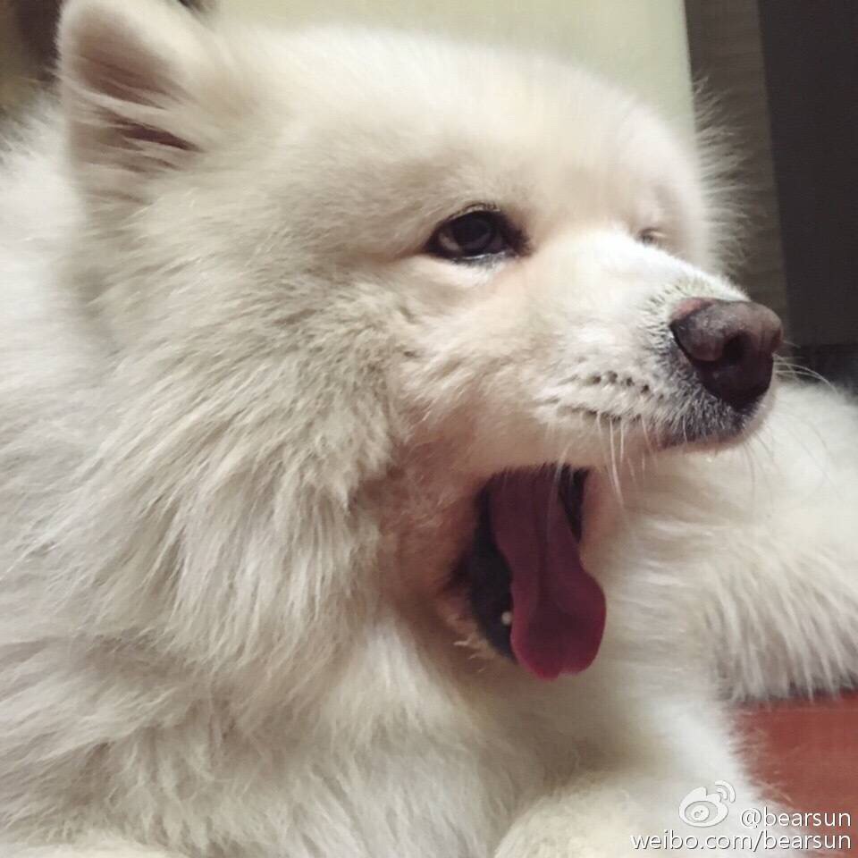 野兽已经被注册