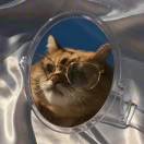 手机用户4367_1sa9