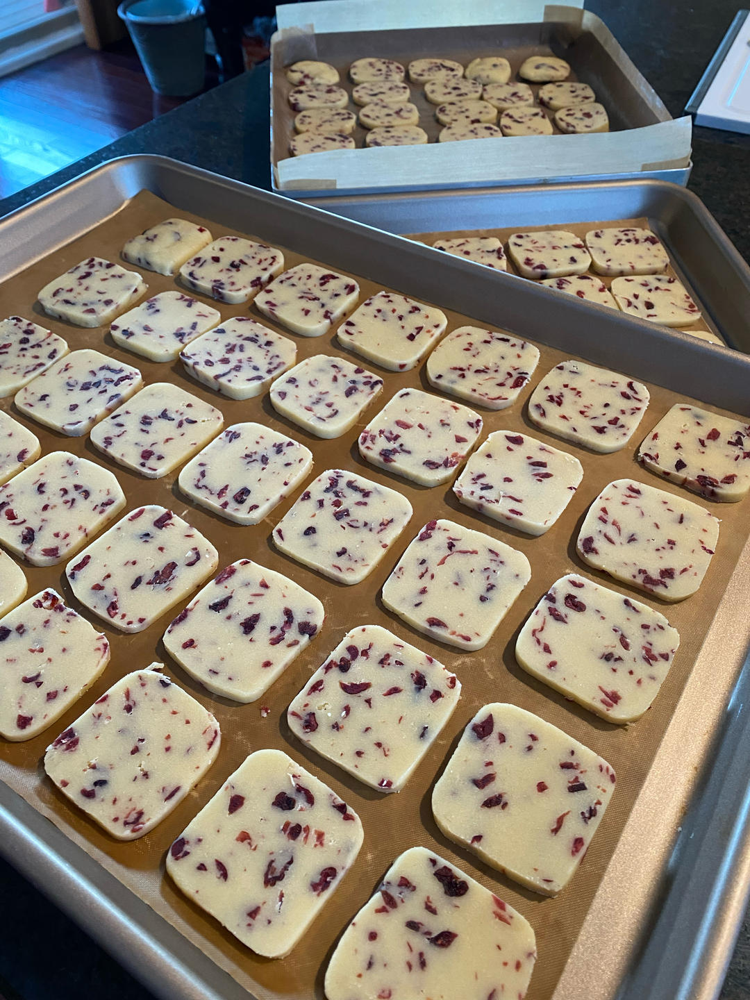 蔓越莓曲奇饼干/零失败/新手必做饼干