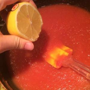 自制番茄酱的做法 步骤19