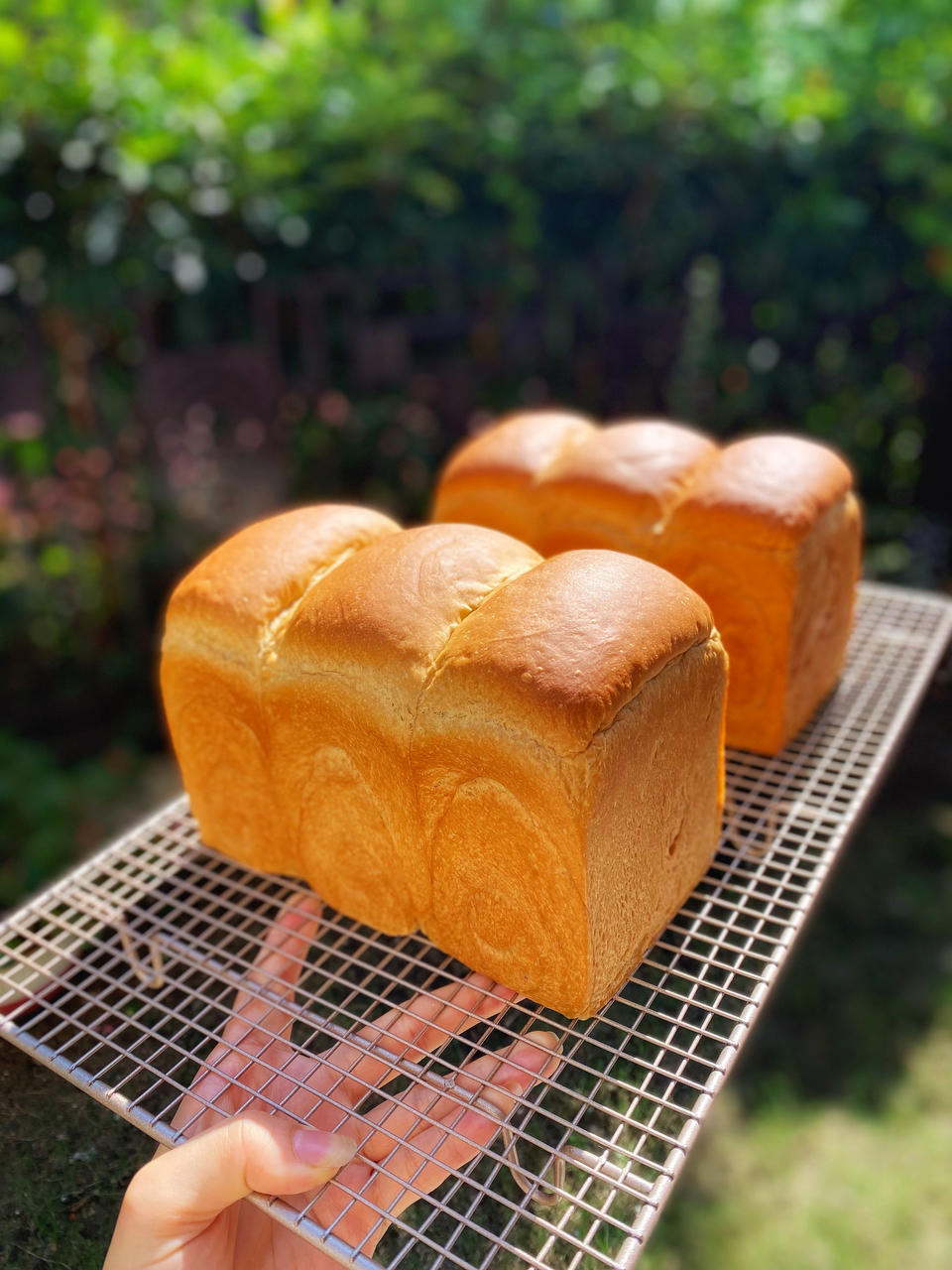 好吃上头，超醇咖啡吐司