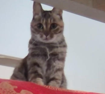 下厨房用户_j9ge