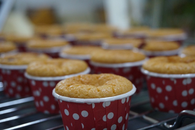 【怀旧蜂蜜鸡蛋糕】全蛋海绵蛋糕