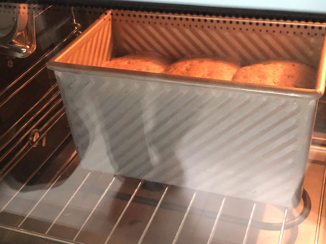 双种芝麻全麦吐司 100%全麦 烫种+波兰种