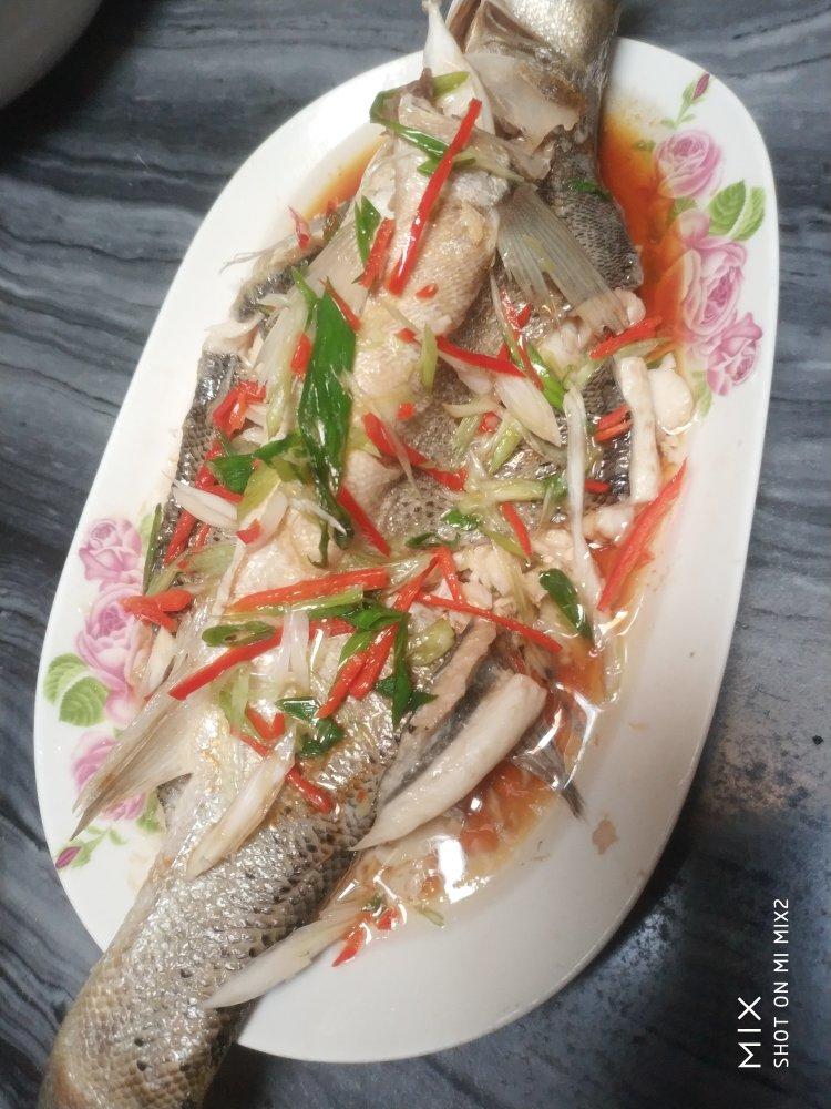 清蒸鲈鱼