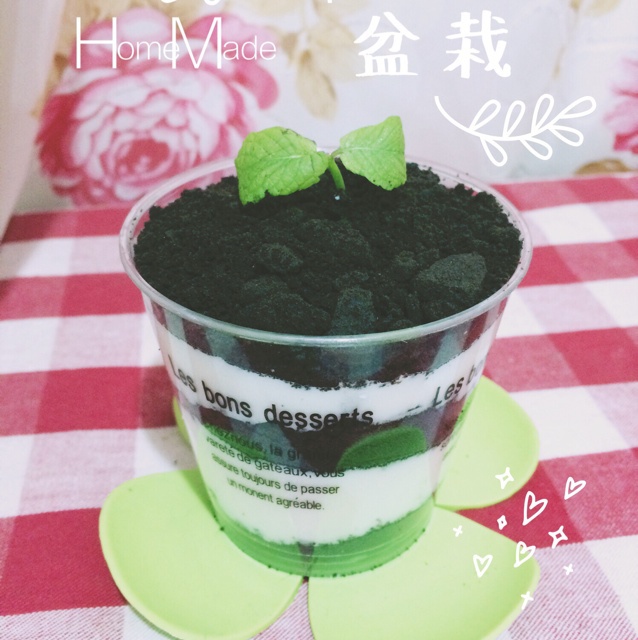 木糠杯