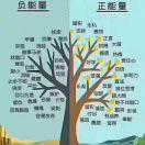 我好喜欢这个节目