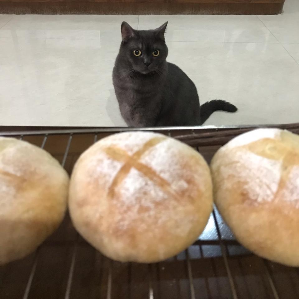 免揉黑椒土豆脆皮欧包