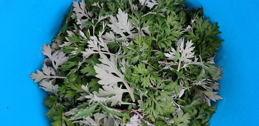 这才是小时候吃的艾叶粑粑