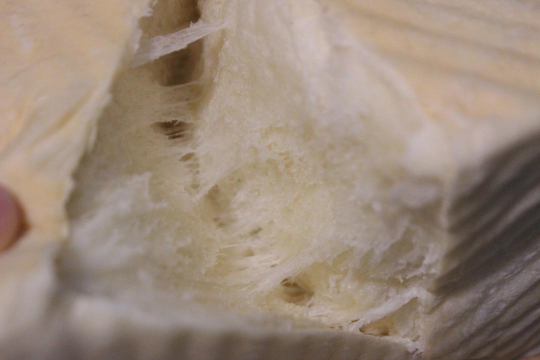 夺命软吐司(๑´ڡ`๑)超软拉丝极速方便的一次发酵吐司