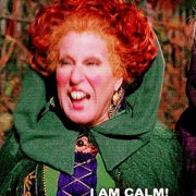 alligotisastupidface