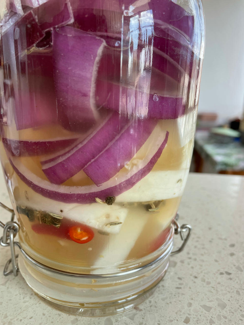 泡菜/泡黄瓜/泡洋葱（健康的乳酸发酵/非醋泡）