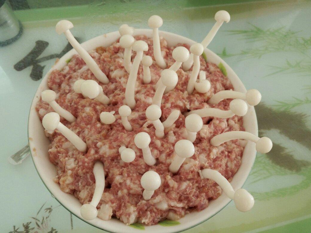 白玉菇肉饼（春回大地）