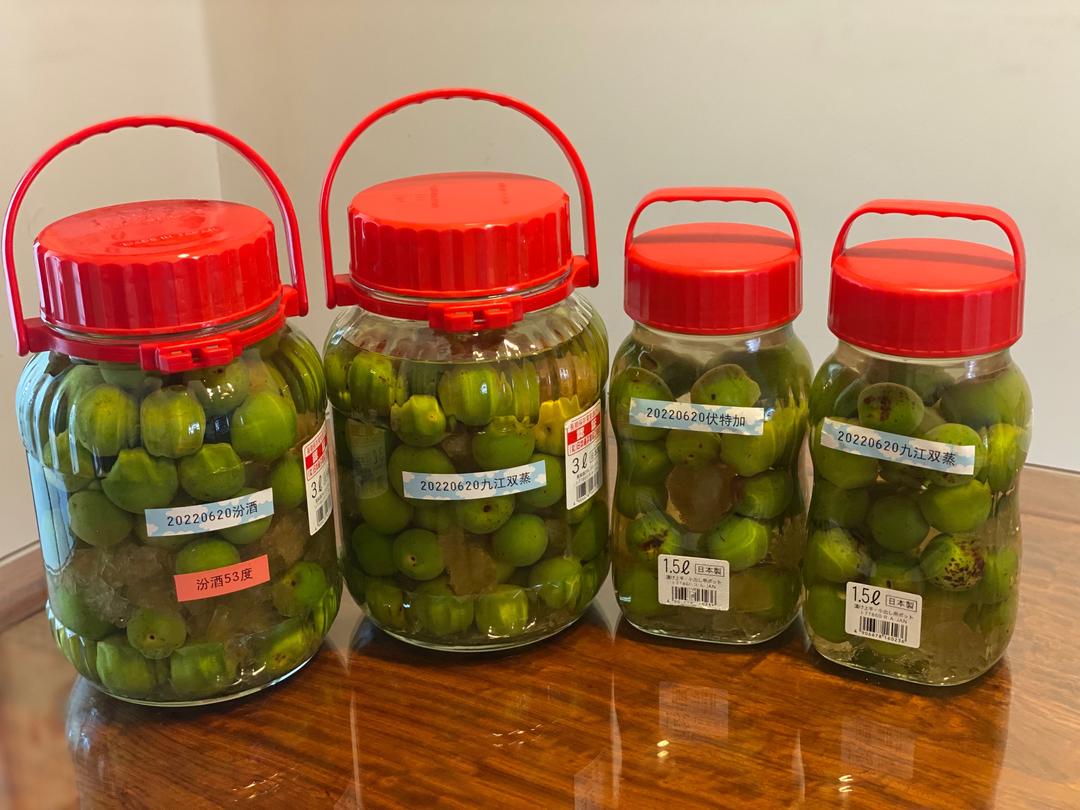 留住六月的味道绝不失手梅子酒/梅子醋