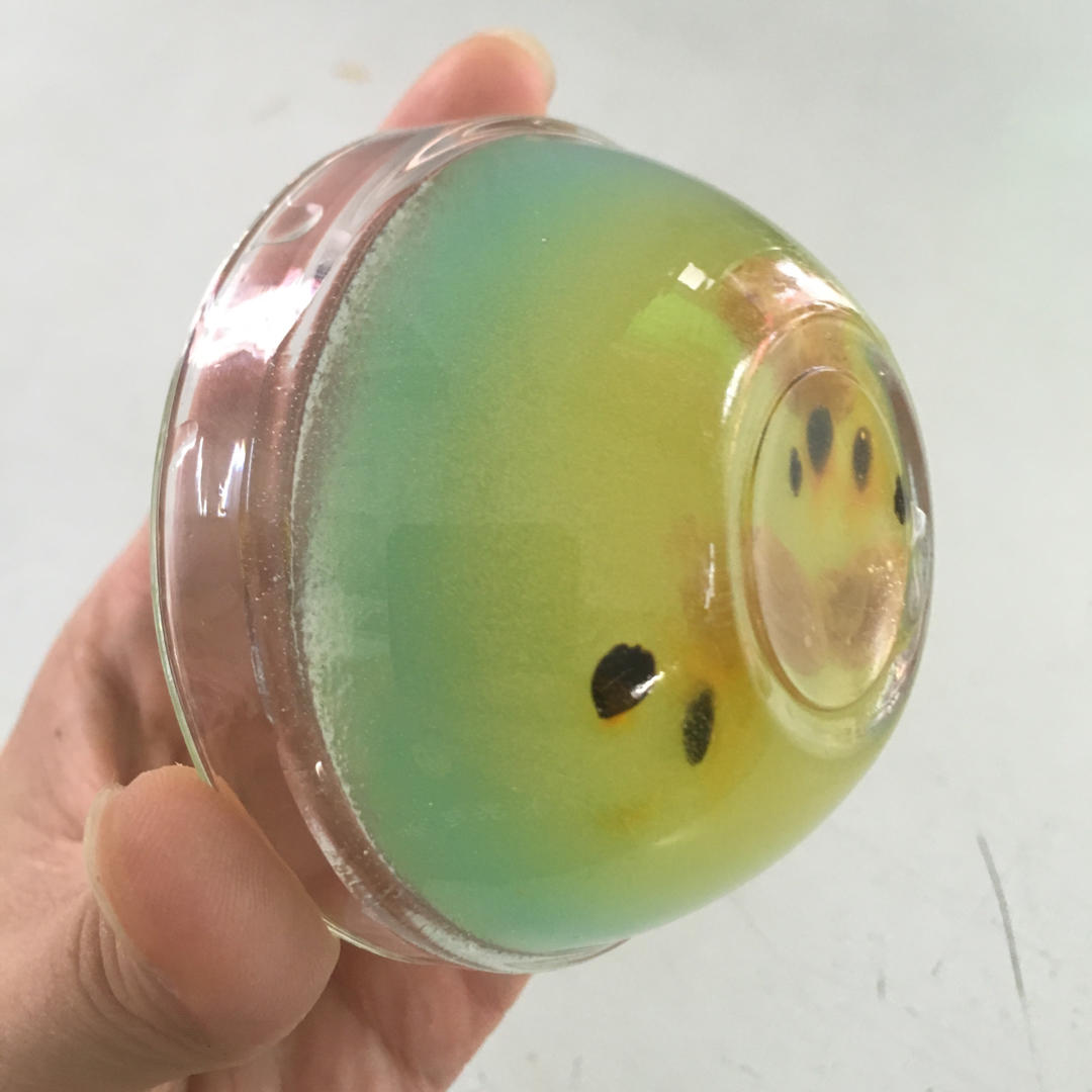 砵仔糕（钵仔糕）